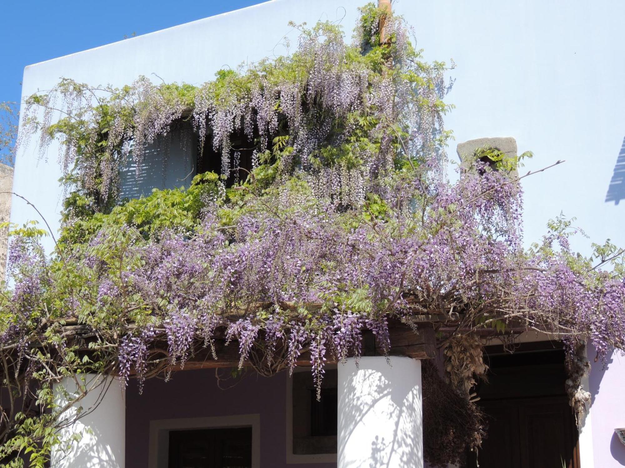Agriturismo U Zu Peppino Lipari  Exterior foto